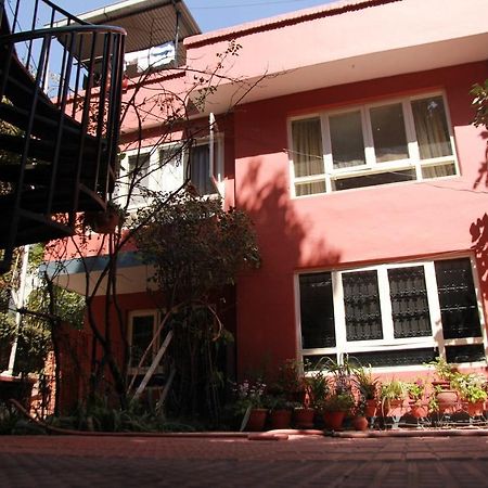 Ojas Wellness B&B Lalitpur Exteriör bild