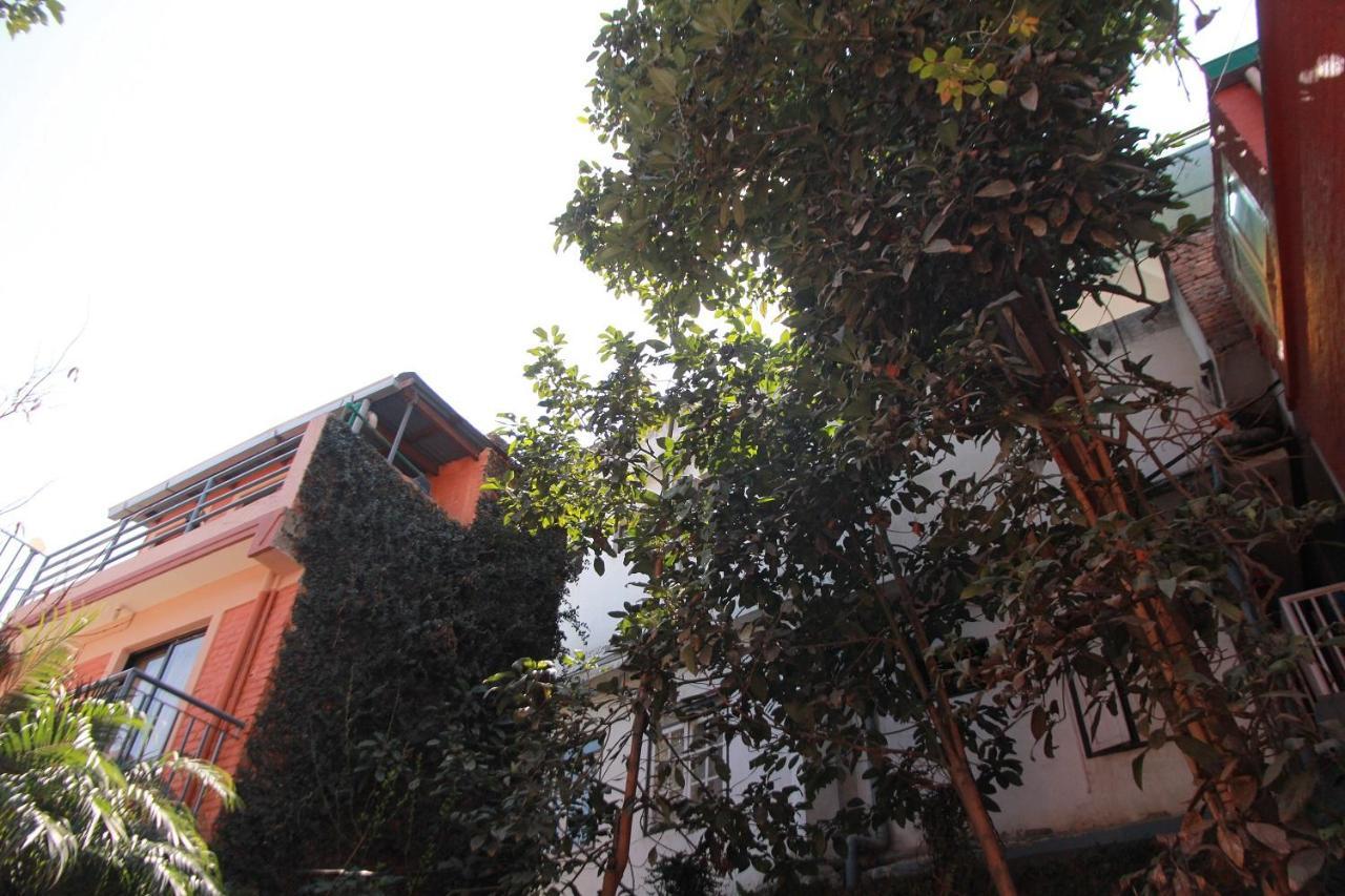 Ojas Wellness B&B Lalitpur Exteriör bild